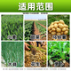 Shuofang 60% Choline Chloride Plant Growth Regulator Peanut Potato Growth Regulator Agricultural Authentic Medicine 100g*10 Bottles Authenticity Guaranteed
