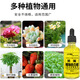 Eight Laotou Plant Vitality Liquid Concentrated Nutrient Solution Growth Promoting Phalaenopsis Hydroponics Moisturizing Green Plants and Flowers General Sustained Release Concentrated Plant Vitality Liquid Yiwu Quality Gray