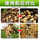 Shuofang 60% Choline Chloride Plant Growth Regulator Peanut Potato Growth Regulator Agricultural Authentic Medicine 100g*10 Bottles Authenticity Guaranteed