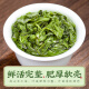 音朗茶叶乌龙茶 正宗安溪铁观音 新茶春茶特级兰花香自己喝袋装500g