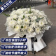Aitong Flowers delivers chrysanthemum bouquets in the same city for Tomb Sweeping Day and Hungry Ghost Festival. Memorials, funerals, tomb-sweeping flowers, and grave-sweeping flowers. Heavy 52 white chrysanthemums mixed and matched bouquets. Delivery in the same city. Supports appointment dates.