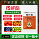 Aowei Aofengamine fresh ester regulator adapts to low temperature to promote growth, agricultural use, synergy, detoxification, promotion of growth and yield, genuine product 500g*2 bags