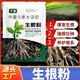 Rapid rooting powder, universal plant transplanting and cuttings, powerful rooting agent for fruit trees, nutrient solution 809, 3 bags, green leaves + strong roots + flower promotion + top tips