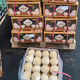 SF Thai Coconut King, freshly imported coconuts, fresh seasonal fruits, 5 pieces, each about 400g