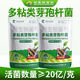 Dangxiu Paenibacillus polymyxa controls soil-borne diseases, universal plant seedlings and rooting improvement live bacteria, Paenibacillus polymyxa 500g*2