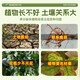 Soil activator soil activator flower fertilizer household potted plant activation anti-hardening rooting fertilizer nutritional flower green buy 5 get 5 dead branches and bare branches also bloom