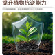 Smart Green Pine Soil Essence Black Water Fertilizer for Flowers General Loose Soil to Prevent Hardening Plant Loose Powder One Bottle Special for Diseases