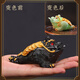 Xing Jie Man Golden Toad Tea Pet Color Changing Boutique Toad Pet Tea Table Decoration Tea Ceremony Tea Set Supplies Accessories Color Changing Glitter Golden Toad