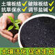 Smart Green Pine Soil Essence Black Water Fertilizer for Flowers General Loose Soil to Prevent Hardening Plant Loose Powder One Bottle Special for Diseases