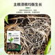 Rapid rooting powder, universal plant transplanting and cuttings, powerful rooting agent for fruit trees, nutrient solution 809, 3 bags, green leaves + strong roots + flower promotion + top tips
