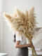 Internet celebrity natural reed pampas grass dried flower bouquet living room window soft decoration exhibition hall layout floor-standing flower arrangement photo props 10 large pampas grass + woven flower basket extra large_length 90-10013