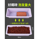 Flower soil coconut brick nutritious soil universal type for growing flowers and vegetables desalination flower soil brick large turtle crawling pet mat potted plant 7 pieces in plastic packaging * 2 copies, suitable for stocking up, not bad for a long time