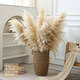 Internet celebrity natural reed pampas grass dried flower bouquet living room window soft decoration exhibition hall layout floor-standing flower arrangement photo props 10 large pampas grass + woven flower basket extra large_length 90-10013