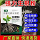 Rapid rooting powder, universal plant transplanting and cuttings, powerful rooting agent for fruit trees, nutrient solution 809, 3 bags, green leaves + strong roots + flower promotion + top tips