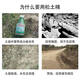 Pickup cat soil activator loosening essence improves salt-alkali conditioner hardened soil trace elements water-soluble fertilizer universal 500g*4 bags