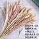 Original idea (CHUGOUXIANG) Yunnan real flower pampas grass whisk dust rabbit tail dried bouquet pampas grass HS10 with box