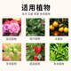 Universal nutrient soil 100 Jin Jin is equal to 0.5 kg Nutrient soil special potted plant for growing flowers and vegetables Universal loose and breathable soil family Refined 200 Jin Jin is equal to 0.5 kg (adding carbendazim rooting powder) Jiangsu, Zhejiang, Shanghai, Anhui and Guangdong regions Chi Jin Ming