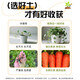 Universal soil nutrient soil 100 Jin Jin is equal to 0.5 kg. General special flower soil for growing vegetables and flowers. Loose and breathable soil for seedlings. 500 Jin Jin is equal to 0.5 kg. Universal organic nutrient soil is Jin Jin is equal to 0.5 kg. Full compensation for damage. No odor. No insect eggs.