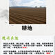 Chaoyang Jin no-shen tillage no-deep tillage shed potted flower soil conditioner hardening and loosening improver 1000