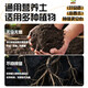 Universal soil nutrient soil 100 Jin Jin is equal to 0.5 kg. General special flower soil for growing vegetables and flowers. Loose and breathable soil for seedlings. 500 Jin Jin is equal to 0.5 kg. Universal organic nutrient soil is Jin Jin is equal to 0.5 kg. Full compensation for damage. No odor. No insect eggs.
