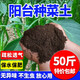 Jieyunmao universal succulent green radish vegetable planting nutritious organic soil 20Jin Jin is equal to 0.5kg balcony vegetable soil store manager