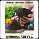 Universal soil nutrient soil 100 Jin Jin is equal to 0.5 kg. General special flower soil for growing vegetables and flowers. Loose and breathable soil for seedlings. 500 Jin Jin is equal to 0.5 kg. Universal organic nutrient soil is Jin Jin is equal to 0.5 kg. Full compensation for damage. No odor. No insect eggs.