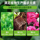 Special nutrient soil for vegetable growing, special soil for balcony vegetable growing, organic nutrient soil, pastoral soil, flower soil, vegetable planting, 100Jin Jin is equal to 0.5kg, sheep manure organic fertilizer, huge impulse, secondary fermentation, insect-free, sterile, non-burning