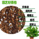 Horticulture export-grade perlite vermiculite flower cultivation rose orchid plant material potted succulent planting nutrient soil powder less two bags of 3-6mm total 140 liters Jiangsu, Zhejiang, Shanghai and Anhui