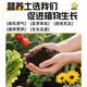Universal soil nutrient soil 100 Jin Jin is equal to 0.5 kg. General special flower soil for growing vegetables and flowers. Loose and breathable soil for seedlings. 500 Jin Jin is equal to 0.5 kg. Universal organic nutrient soil is Jin Jin is equal to 0.5 kg. Full compensation for damage. No odor. No insect eggs.