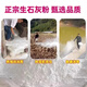 Jingxi Special quicklime powder for vegetables. Soil pest control in vegetable fields. Improve soil height. Quicklime. After spreading quicklime powder without insects, 5 Jin Jin is equal to 0.5 kilograms.