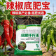 Hejiangnan Pepper Planting Specially Improved Soil Fertile Soil Fast Absorption Insect Control Pepper Base Fertilizer 2 Big Bags Continuous Disease Clearance