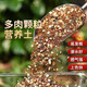 Succulent soil granular soil special nutritional soil succulent plant planting paving stone leaves inserted imported peat flower soil selected volcanic stone 5Jin Jin equal to 0.5 kg plant partner