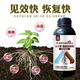 Yunfeng harvest root rot agent, root rot damping off, leaf rot, dead trees, root activation, soil disease prevention, 1000 bottles of test fruit
