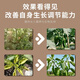 Hejiangnan Pepper Planting Specially Improved Soil Fertile Soil Fast Absorption Insect Control Pepper Base Fertilizer 2 Big Bags Continuous Disease Clearance
