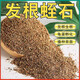 Vermiculite particle cuttings, rose perlite flower cultivation, special white vermiculite nutritious soil for turtle egg hatching, large and fleshy, fully carbonized, no impurities, rice husk charcoal 5 liters