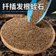Vermiculite particle cuttings, rose perlite flower cultivation, special white vermiculite nutritious soil for turtle egg hatching, large and fleshy, fully carbonized, no impurities, rice husk charcoal 5 liters