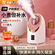Xulin Germany high-end hot and cold dual spray facial steamer for household facial hydration and beauty instrument nano sprayer facial humidifier hot spray nano facial steamer to hydrate and open pores NV8385 rose gold