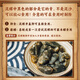 Encounter fresh mud snail ready-to-eat canned rhubarb mud snail raw pickled drunk mud snail seafood Ningbo Zhoushan specialty without sand 200g