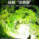 Xushansi Zhaoyu Special Yellow Yellow Light Long Drange Перезаряжаемая водонепроницаемая супер-яркая горная лампа с головкой, ультра длинный фонарик, желтый свет/адаптируемый при ночной/ночной рыбалке/ловке/водной поверхности, версия Bulp Top + 9888K Lamp Beads + Двойной литий батарея