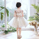 
Little Kayi thick flower girl princess skirt children's high-end evening dress fashionable little girl birthday puffy girl host performance costume 1591 champagne color sleeveless short 120cm