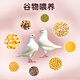 Dufeng Old Pigeon 700G (всего 2) ингредиенты супа старого голубя замороженные свежие голубь питательный подарок