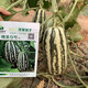 Zhongke Maohua vegetable and fruit seeds Bomei No. 9 melon seeds Huayang Boyang series Bomei 91 melon seeds 94 super sweet Bomei No. 9 50 capsules/bag trial planting pack