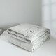 Hengyuanxiang Quilt Core Antibactérien Antibactérien Goie Velvet Couette blanche GOOSE VELVET CHAUD ANTI-DIAMOND VELVET AUTUM