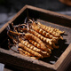 Zangxitang Cordyceps sinensis hohe Höhe neue getrocknete Cordyceps Geschenkbox mit getrockneten Waren Cordyceps sinensis Kopfperiode 4 Wurzeln/G 10 Gramm Gesamt 40 Wurzeln [Hongyun Geschenkbox]
