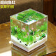 SUNSUN goldfish tank, small aquarium, ultra-white glass living room, ecological aquatic plant tank, turtle tank, landscaping grass tank, ultra-white tank 60cm long