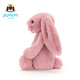 Jellycat害羞粉色郁金香邦尼兔动物毛绒玩偶公仔睡觉潮玩送礼娃娃生日礼物 害羞粉色郁金香邦尼兔 Medium