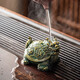 Tangfeng (TANGFENG) color-changing tea pet small ornaments can raise tea insects, creative turtle tea play, tea accessories on the new Chinese tea table, color-changing turtles