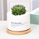 Jianshe Succulent Plant Potted Meat Office Desktop Novice Small Set Meal Green Plant Flower Cactus with Potted Diy Scenery Ten Premium Succulent Random + Long Wooden Basin + Nutritional Soil