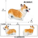 Oenux仿真宠物狗狗玩具塑胶模型摆件野生动物大小犬实心儿童学习玩认知 M-691大号站立斑点犬