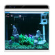 SUNSUN ultra-white glass small fish tank living room small desktop home aquarium ecological water-change-free goldfish tank HE380 high-end tank built-in cotton filter material (38*26*38cm)